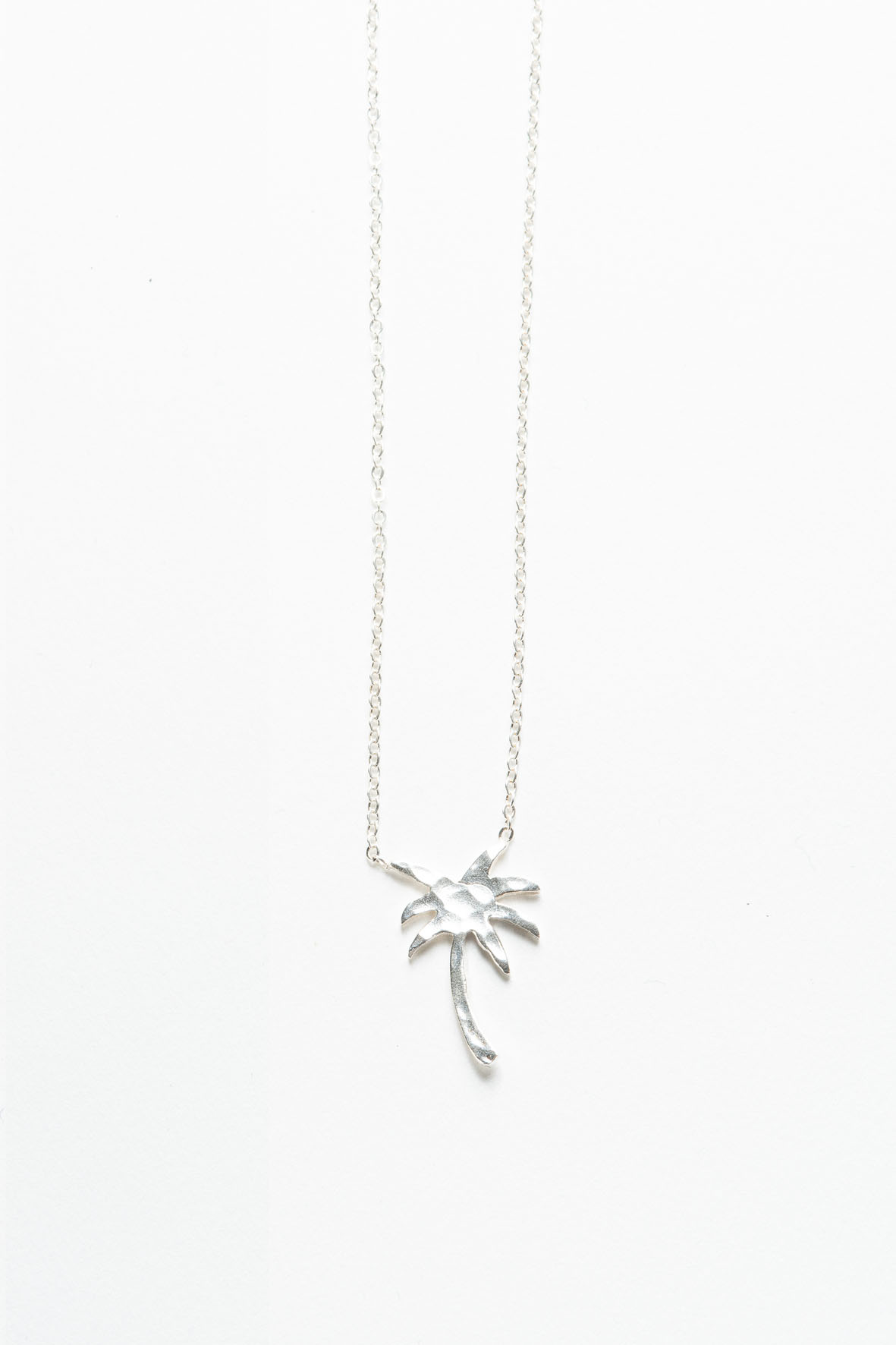 137 KETTE PALM