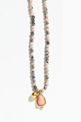 N279 KETTE TONIA rose