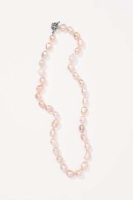 N240P KETTE LUANA rose