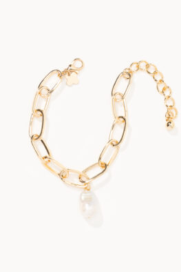 A222F/g ARMBAND DAYO