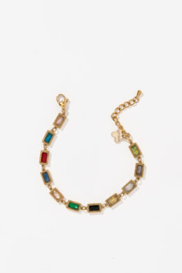 A920 ARMBAND CHARLY