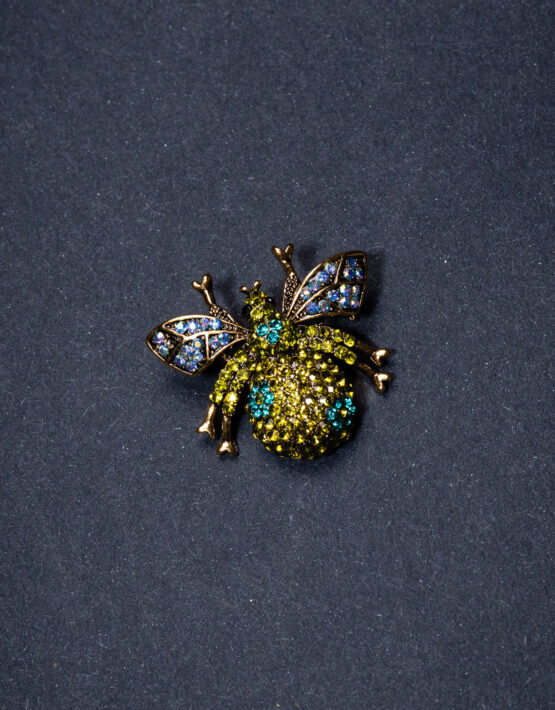 1413 Brosche Beetle